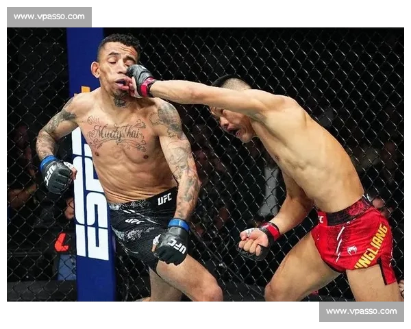 李景亮战胜强敌再创辉煌 讲述中国MMA选手如何征服世界搏击舞台 李景亮战胜强敌再创辉煌 讲述中国MMA选手如何征服世界搏击舞台