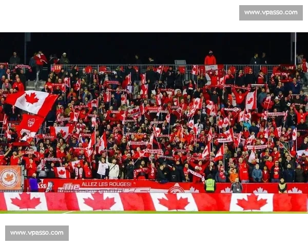 家门口看世界杯，瓜达拉哈拉球迷狂欢，气氛燃爆！