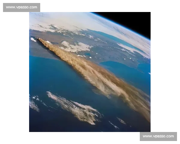 从“上帝视角”看比赛：技术分析如何挖掘选手的潜藏实力