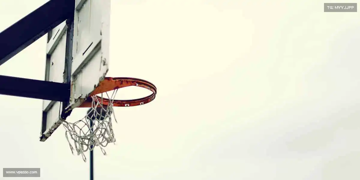 为什么选择我们